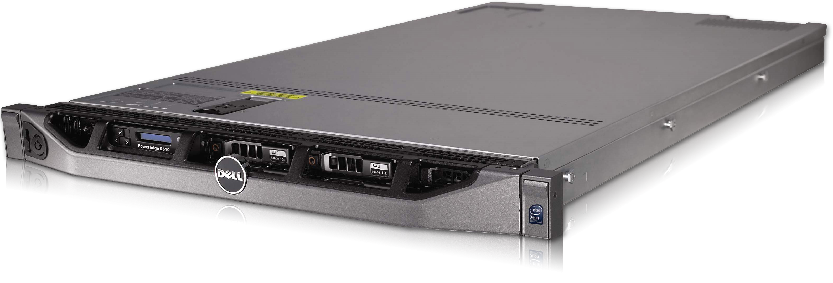 Dell R610
